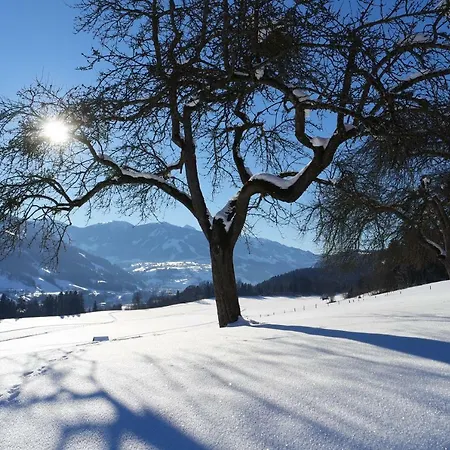 Homestay Gaestehaus Davidbauer