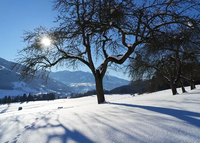 Ubytování v soukromí Gaestehaus Davidbauer