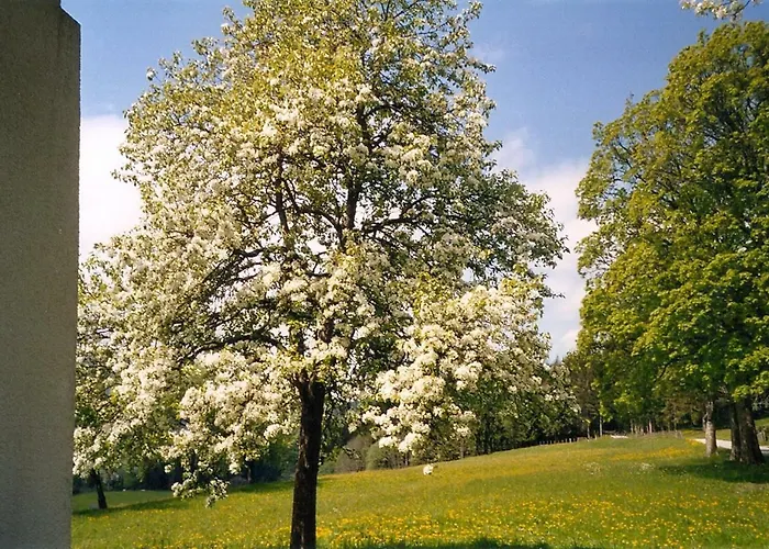 Ubytování v soukromí Gaestehaus Davidbauer Haus im Ennstal